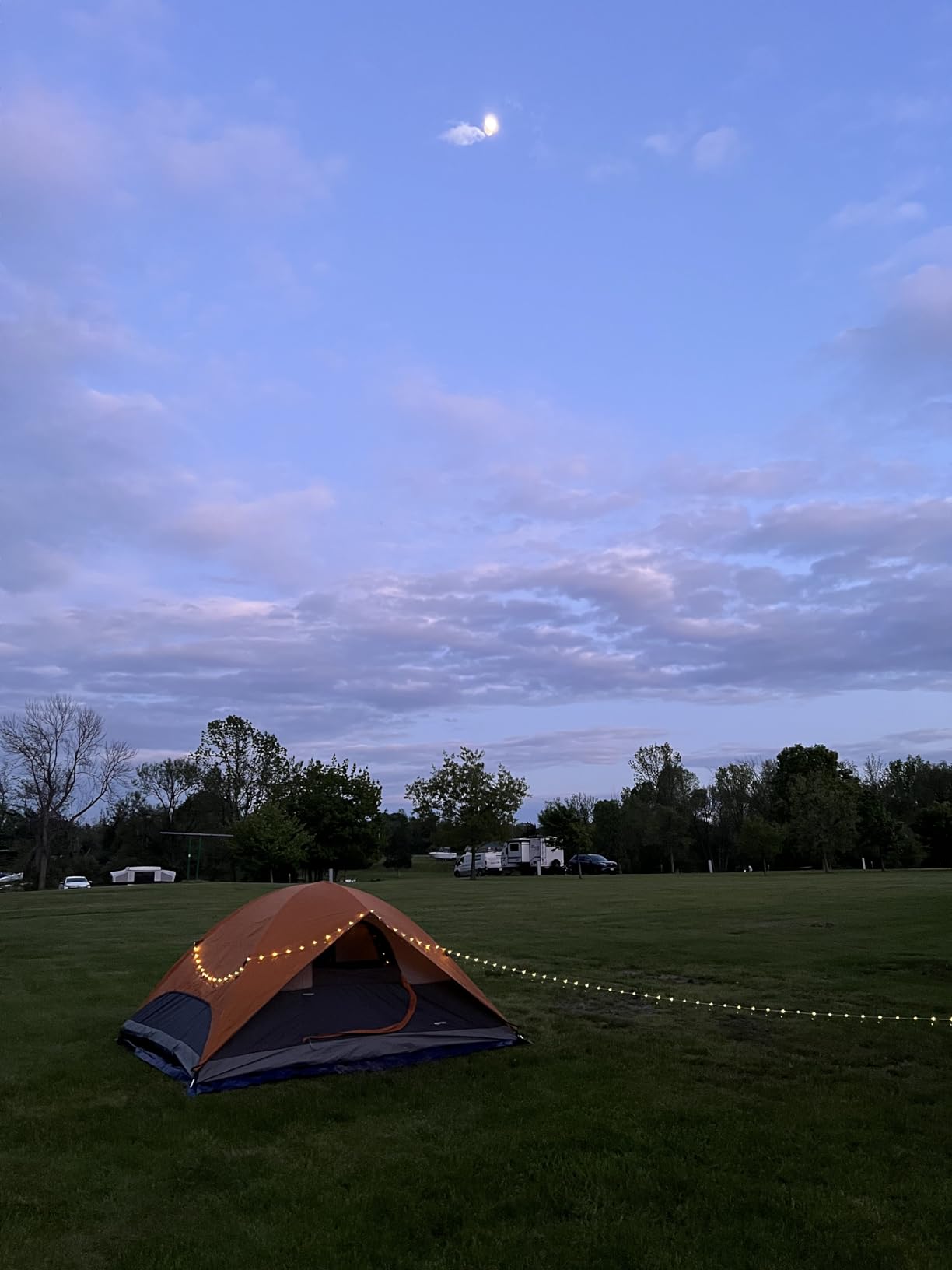 Amazon Basics Camping Tent