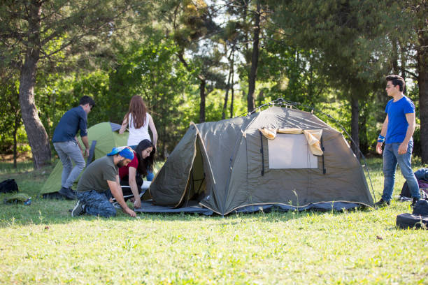 Best Tents for Large Groups Camping (6+ Person Options)