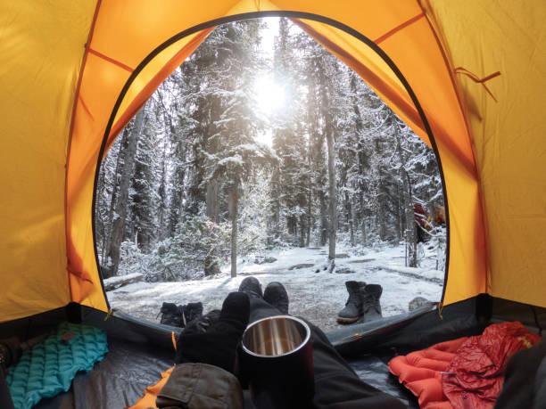 Best Wall Tents for Winter Camping: Stay Toasty in the Wild