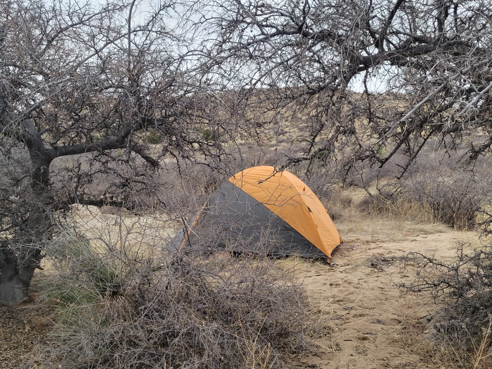  backcountry tents