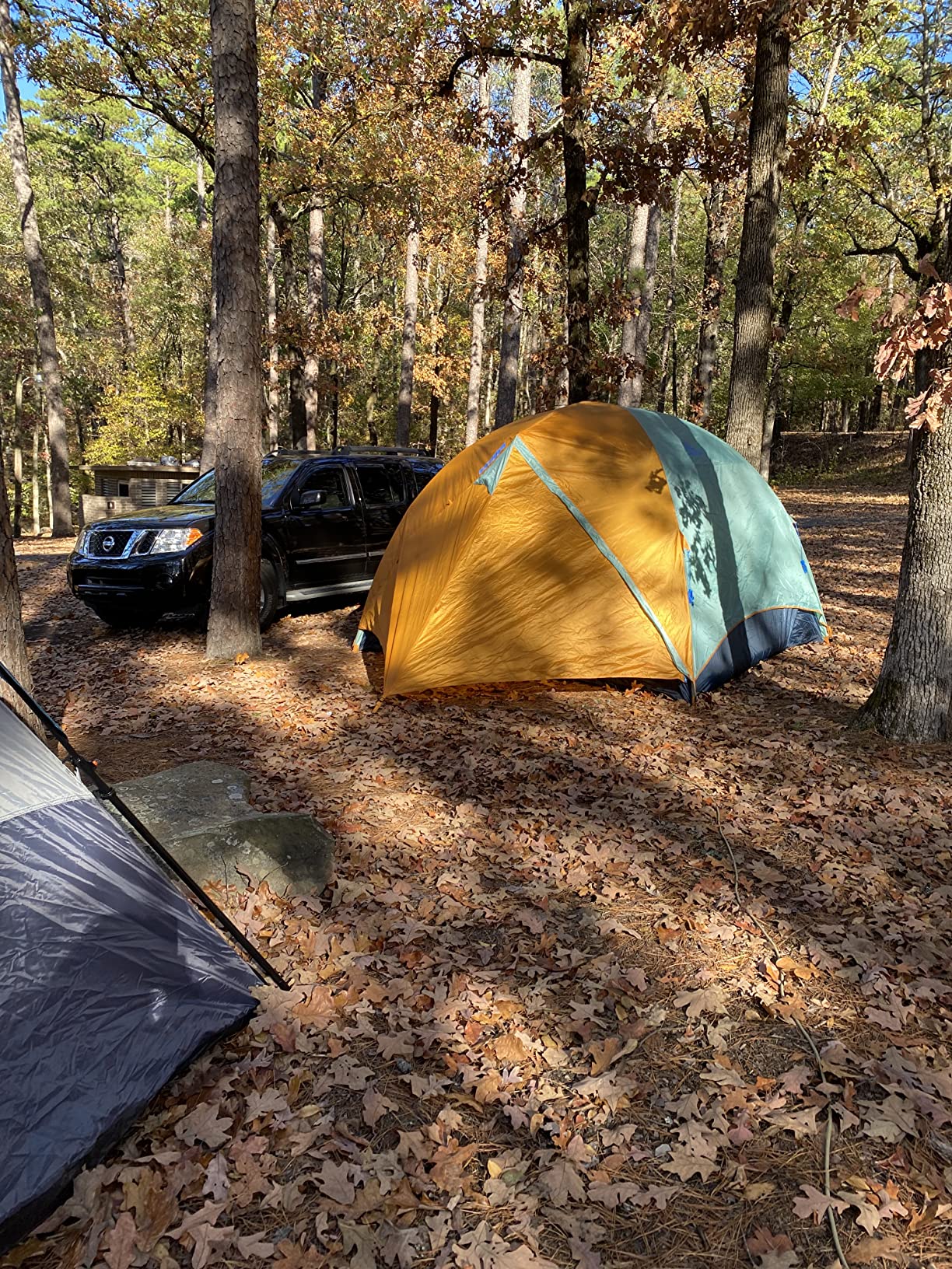 best beginner backpacking tent