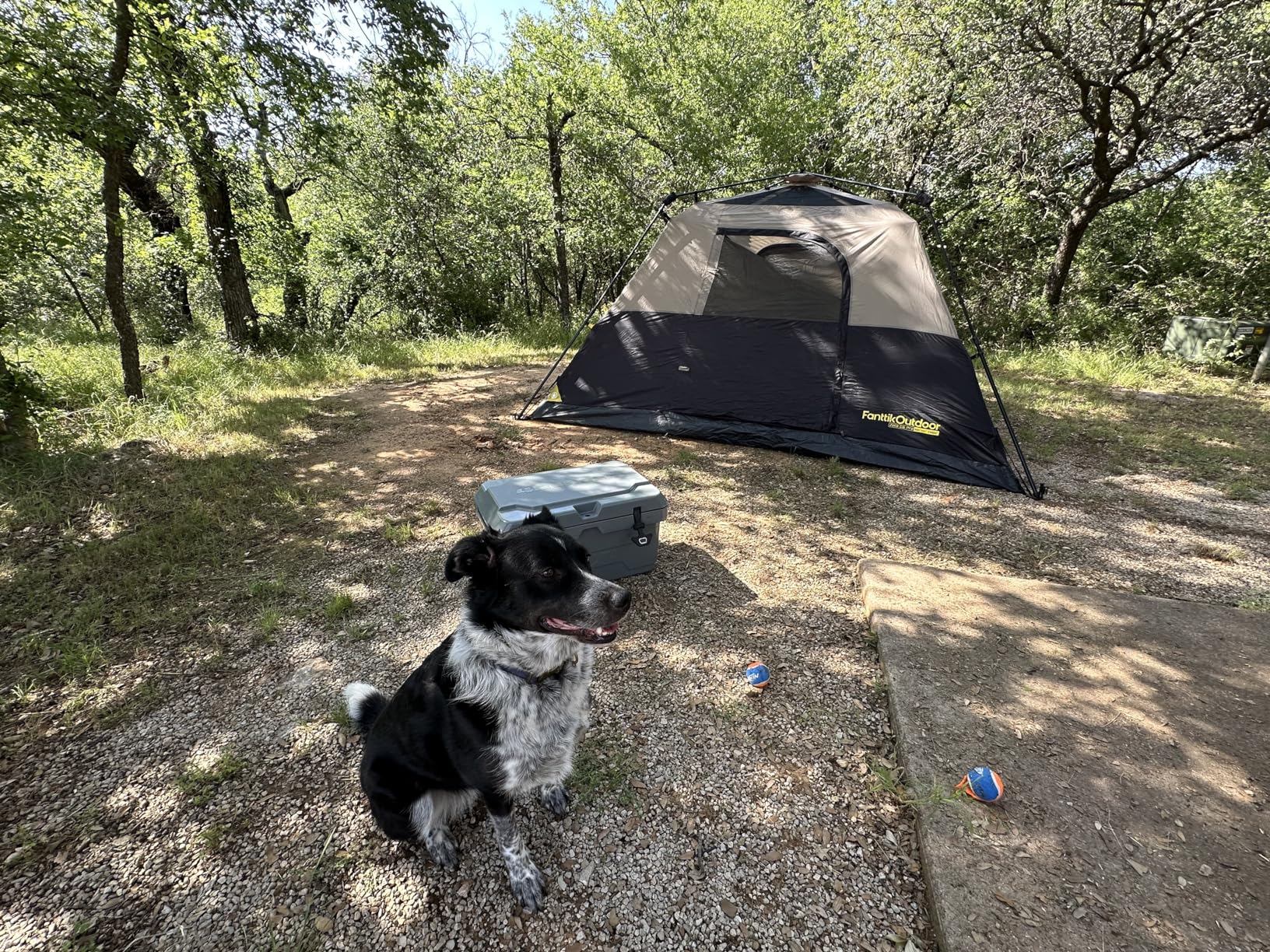 best budget backpacking tent