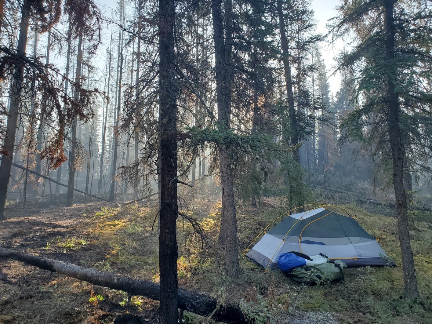 best extreme weather tent