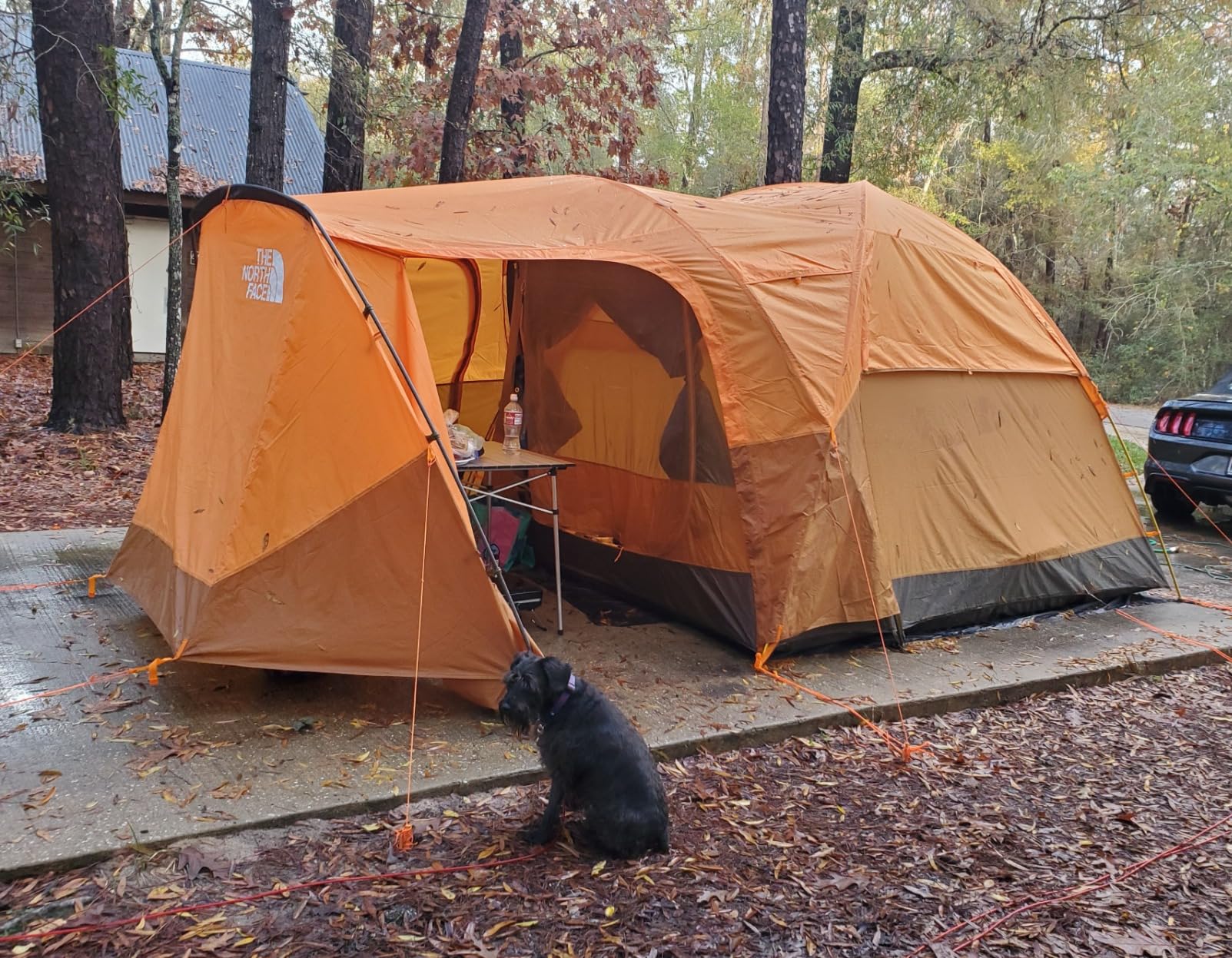 best large family tent