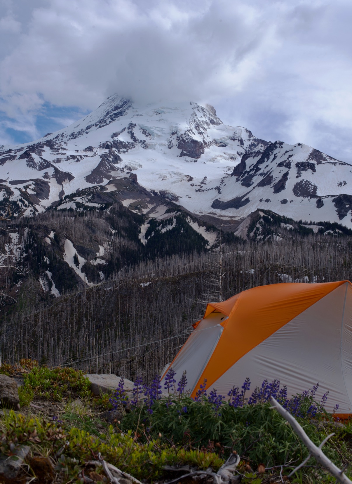 extreme weather camping tents for all seasons