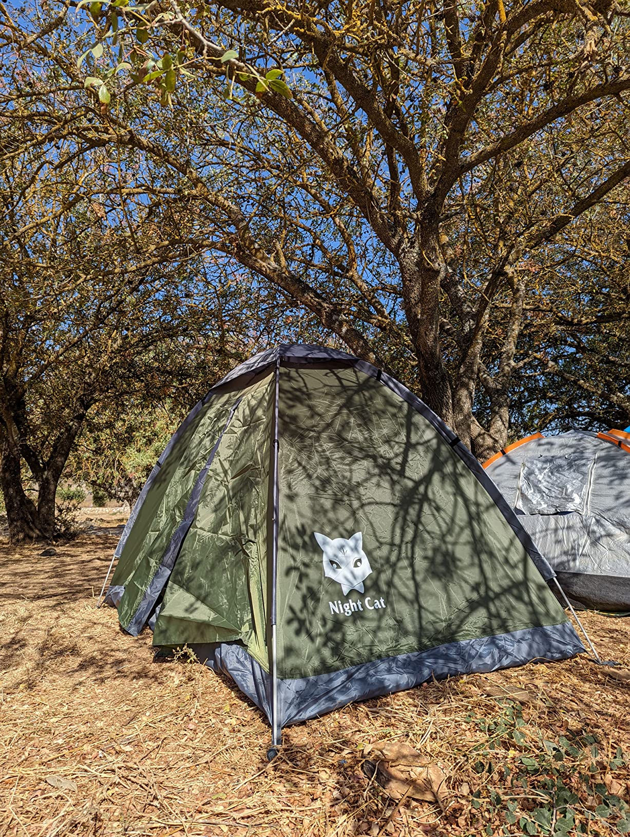 extreme weather camping tents