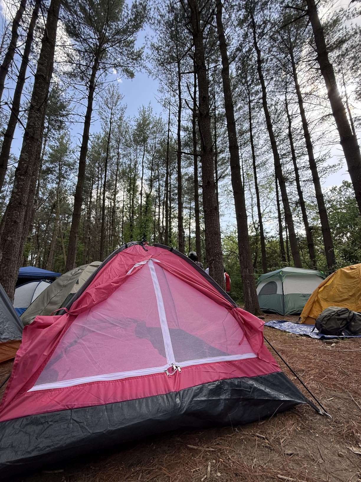  the best tents for couples with dogs