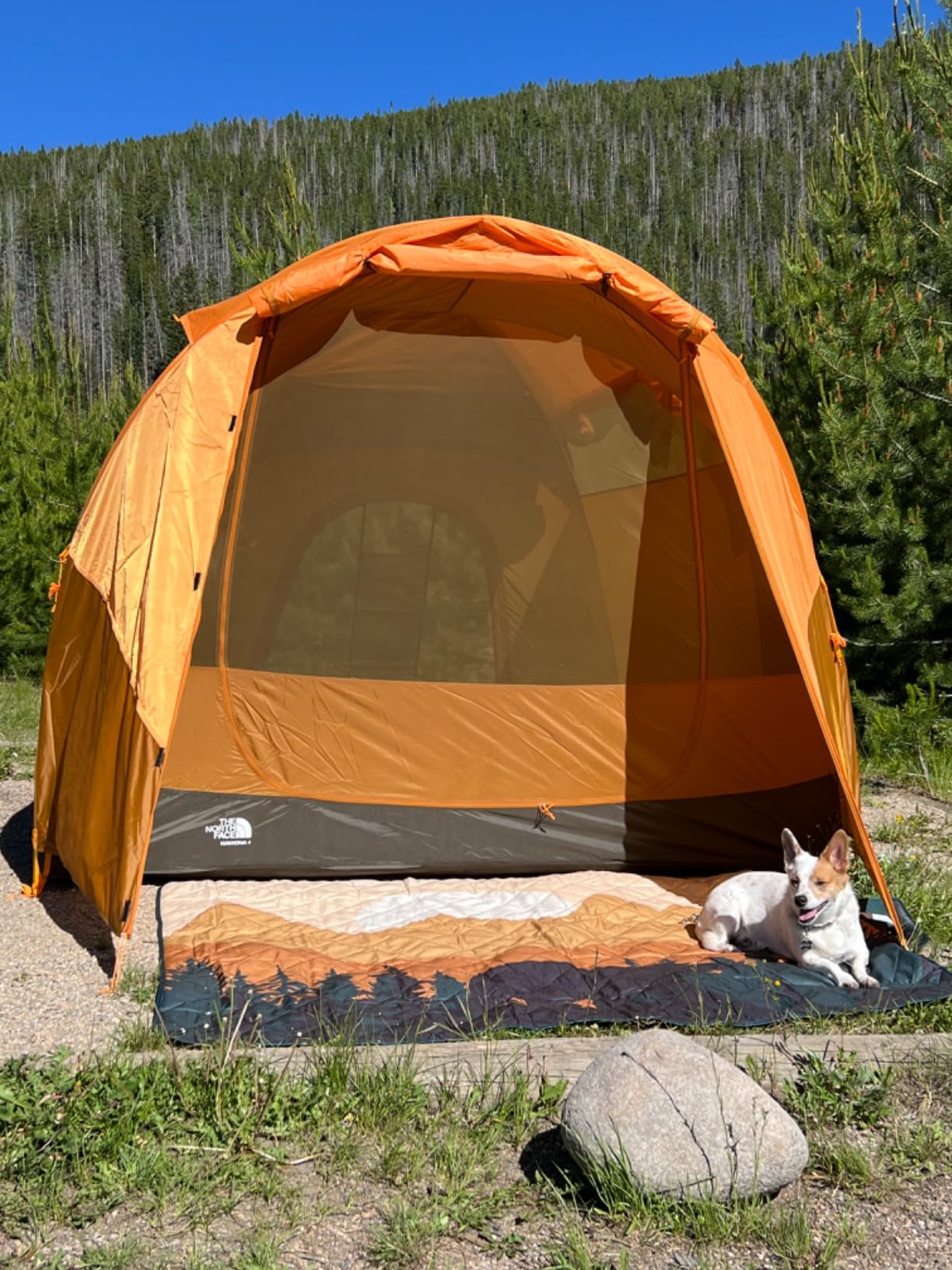 waterproof tents for camping