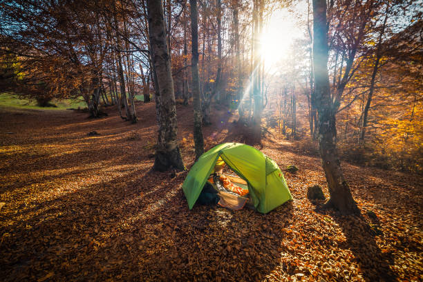 Best Durable Camping Tents for Rugged Adventures