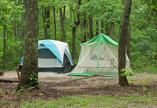 Instant Screen Tent with Floor for all season