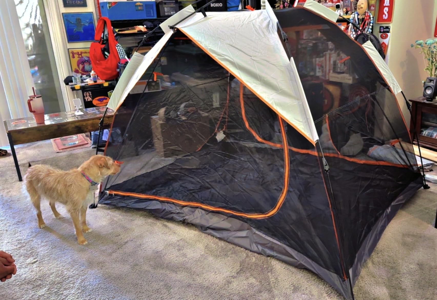 best 2 person backpacking tent