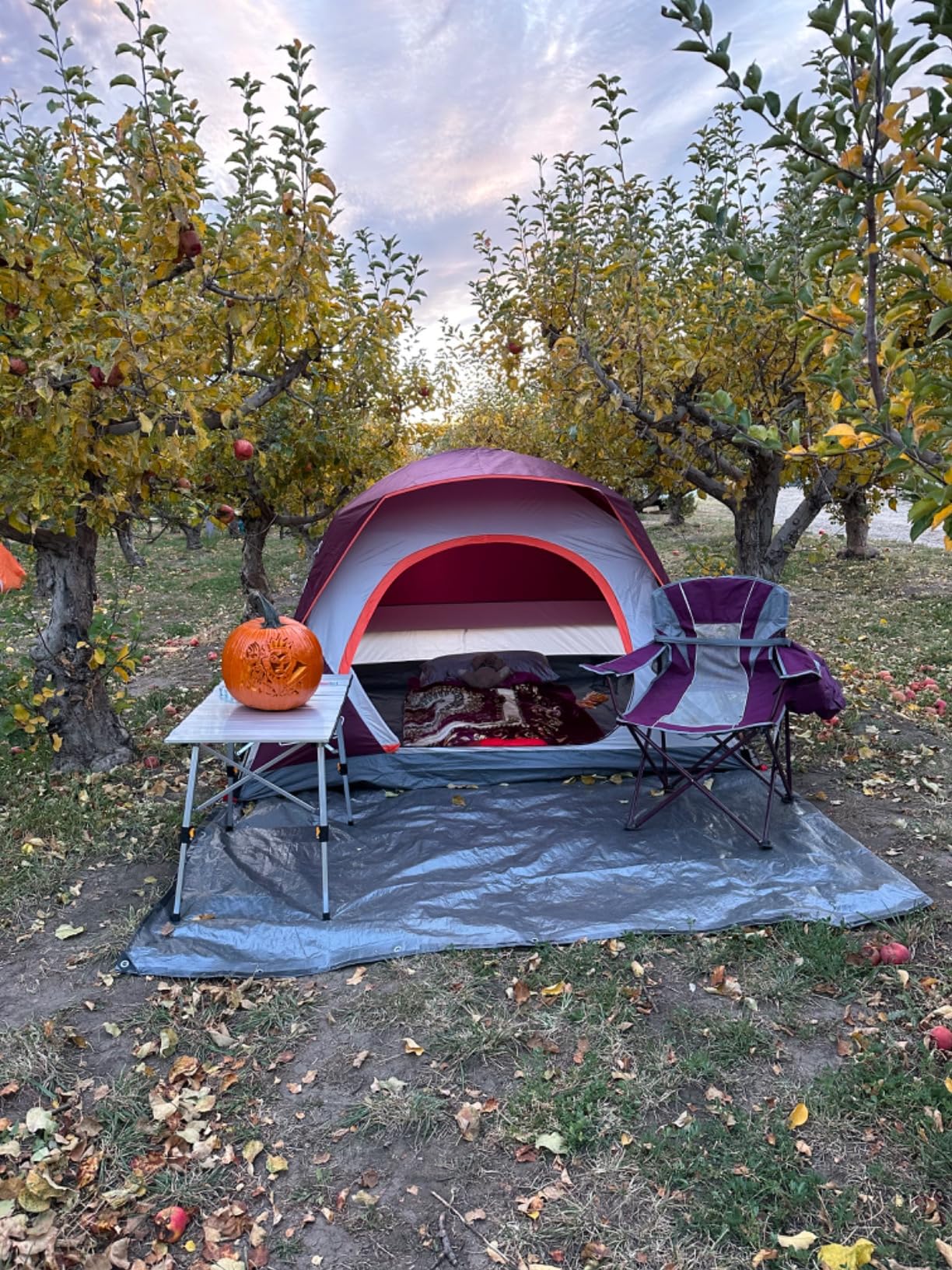 best camping tents for 2 person