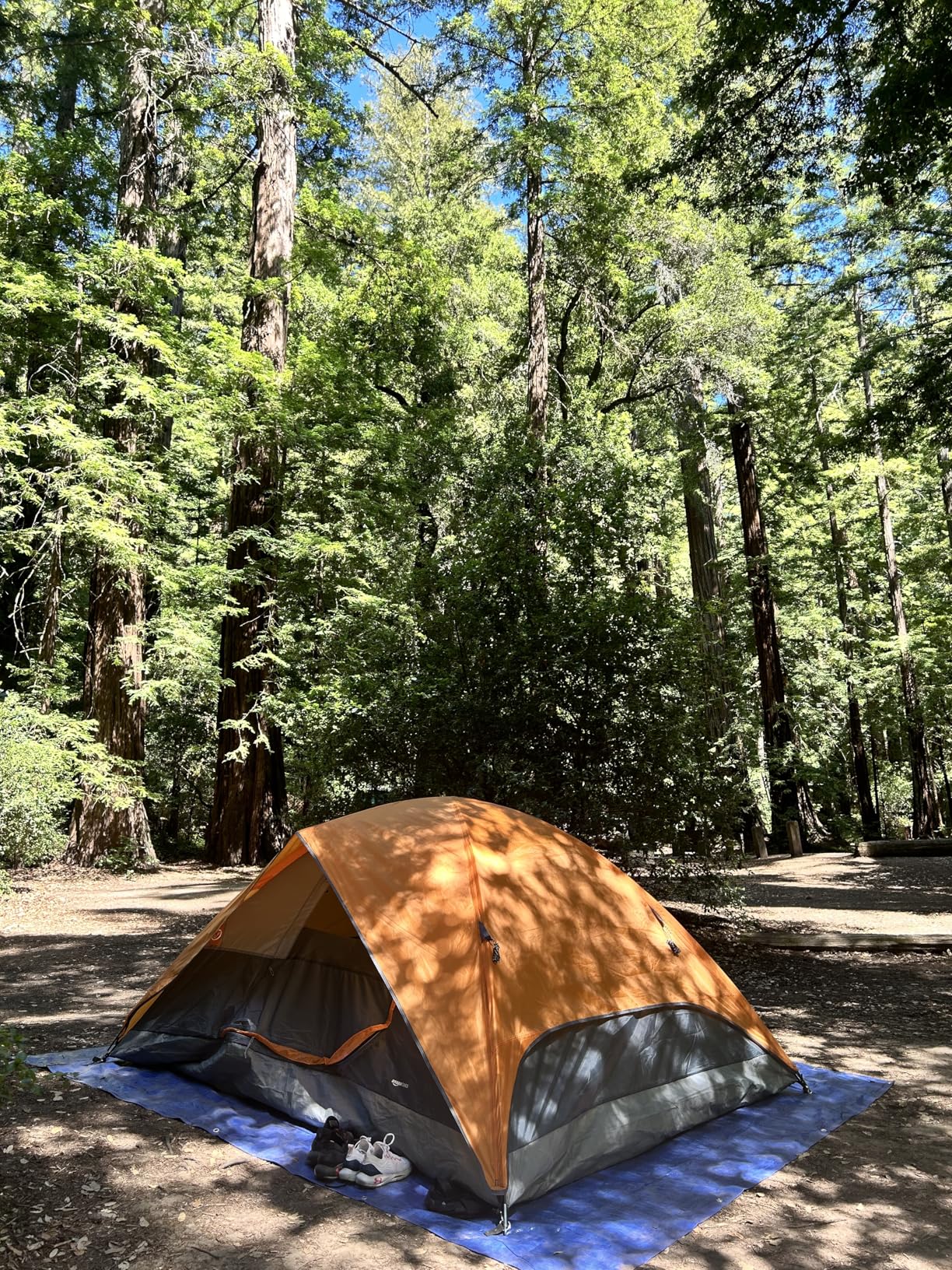 best camping tents under $100