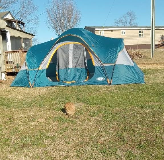 buy luxury tent