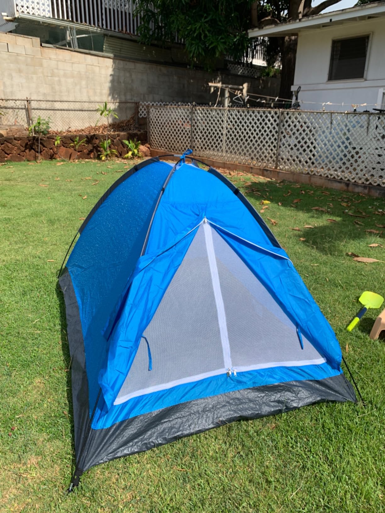 tents under $100